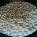 El cooksnap de Eri Paredes cuando hizo Lemon Pie fácil y rápido.