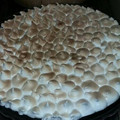 El cooksnap de Eri Paredes cuando hizo Lemon Pie fácil y rápido.