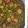 Manju Goyal का कुकस्नैप जब उन्होंने मटर पनीर सब्जी(matar paneer recipe in hindi) बनाया था।