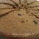 Cooksnap dari Wenni Hasliza untuk resep Banana Cake Gula Palm