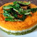 Sonal Modha's cooksnap of when they made ત્રિરંગી ઢોકળાં (Trirangi Dhokla Recipe In Gujarati).
