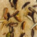 Zobia Sajjad's cooksnap of when they made Sheer khurma.