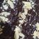 Cooksnap dari Nad. untuk resep Fudgy Brownies Shiny Crust Anti Gagal