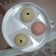 Cooksnap dari Agus Pratiwi untuk resep Easy Pao (Bakpao Simple)