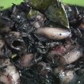 Cooksnap dari loepietha untuk resep Cumi Tinta Hitam Balita