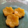 Cooksnap dari Sri Utami untuk resep Puding busa nutrijel mangga lapis puding coklat