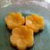 Cooksnap dari Sri Utami untuk resep Puding busa nutrijel mangga lapis puding coklat