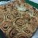 Cooksnap dari Zahra Arthexeina untuk resep 3. Cinnamon Rolls (permulaan untuk baking bread)