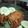 Cooksnap dari Intan Firdauza untuk resep Hotdog mie