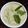 Binita Makwana's cooksnap of when they made સાઉથ ઇન્ડિયન કોકોનટ ચટણી (South Indian Coconut Chutney Recipe In Gujarati).
