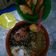 Cooksnap dari mai sarah untuk resep 4# Donat Paha Ayam