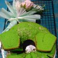 Cooksnap dari Ellin Dulhakim untuk resep Bolu Pandan 3 Telur