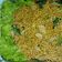 Cooksnap dari nofita | Fapita untuk resep Mie tek tek goreng #pr_homadestreetfood
