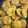 El cooksnap de Noelia cuando hizo Galletas saladas BÁSICAS.