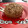 El cooksnap de Arantza cuando hizo Pan de lino sin harina, ni materia grasa, ideal para dietas y apto celíacos.