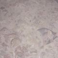El cooksnap de Karen Campo cuando hizo Salsa caruzo.
