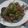Cooksnap dari Ira Iskandar untuk resep Tumis brokoli daging cincang
