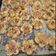 Cooksnap dari rahma gunanti untuk resep Garlic cheese cookies
