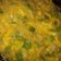 Cooksnap dari Sri Maryanti untuk resep Telur Dadar Padang