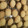El cooksnap de miriam dibus cuando hizo Galletas de Navidad Piñas de Pino.