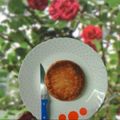 Nandita Mukherjee's cooksnap of when they made ছানা পোড়া (Chana pora recipe in Bengali).