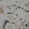 Cooksnap dari Elisa Kristina untuk resep Sayur Lodeh Putih