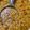 Sonal Sardesai Gautam's cooksnap of when they made ढाबा स्टाइल उड़द चना दाल (dhaba style urad chana dal recipe in Hindi).