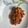 Mouma Singh's cooksnap of when they made আমের আচার (aamer achaar recipe in Bengali).