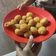 Cooksnap dari astrid widya untuk resep Bola ubi (Bolubi/bolbi) kopong garing manis