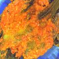 Cooksnap dari eva meylani untuk resep ikan lidah sambal santan