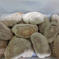 El cooksnap de Rocio cuando hizo Galletitas espiral, fácil e económico.