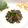 Cooksnap dari Yoes untuk resep Spaghetti al Nero di Seppia (Spaghetti dengan Saus Tinta Cumi khas Sicilia)
