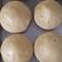 Cooksnap dari nur qodrati harisasanti untuk resep Pukis Tape Lembut
