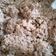 Cooksnap dari Stella Junearti Thomas untuk resep Grass-Fed minced beef Bulgogi
