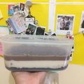 Cooksnap dari Marlina Mega Tarti untuk resep Dessert box oreo