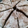 Umama Noor's cooksnap of when they made Mango Float.