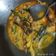 Cooksnap dari Syarifah Dahliani untuk resep Gulai ikan salai patin kacang panjang sedap