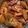 Puja Adhikary (Mistu)'s cooksnap of when they made পটল চিংড়ি (potol chingri recipe in bengali).