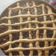 El cooksnap de Eduardo Andres cuando hizo Kuchen mermelada y manzana 🍎♥️.