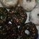 Cooksnap dari Echie Via untuk resep Donat Lembut Tanpa Telur/Eggless No Kentang
