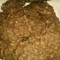 Carolyn's cooksnap of when they made EASY NO BAKE CHOCOLATE PEANUT BUTTER COOKiES*.