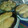 El cooksnap de marce cuando hizo Pan casero fácil.
