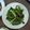 羅文孜 的 樹子炒山蘇 cooksnap