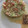 El cooksnap de Mireia Puig cuando hizo Tartar de langostinos y carabineros con aguacate y tomate.