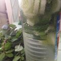 Cooksnap dari Hes Hidayat untuk resep simply infused water