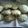 El cooksnap de Andreina Figueroa cuando hizo Galletitas de avena y manzana.