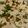 Aqeel Nazeer's cooksnap of when they made Kafta with Tahini (meat with sesame paste).