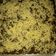 Cooksnap dari Kasmawati untuk resep Brownies nyoklat by ny.liem