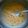 Shilpi Mitra's cooksnap of when they made গুড়ের পায়েস (jaggery payesh recipe in Bengali).