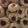 Cooksnap dari Feny Feronika untuk resep Strawberry Thumbprint Cookies (Resep cc Tintin Rayner)